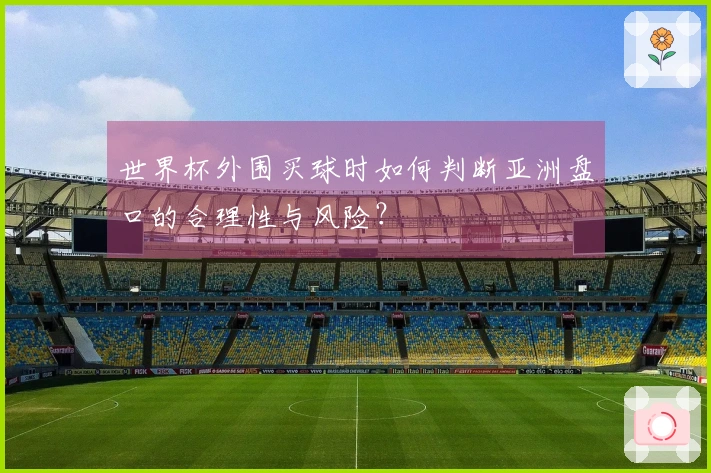 世界杯外围买球时如何判断亚洲盘口的合理性与风险?