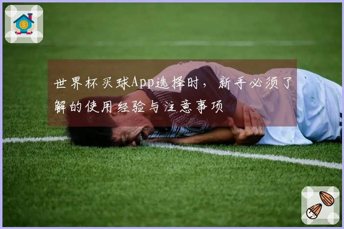世界杯买球App选择时，新手必须了解的使用经验与注意事项