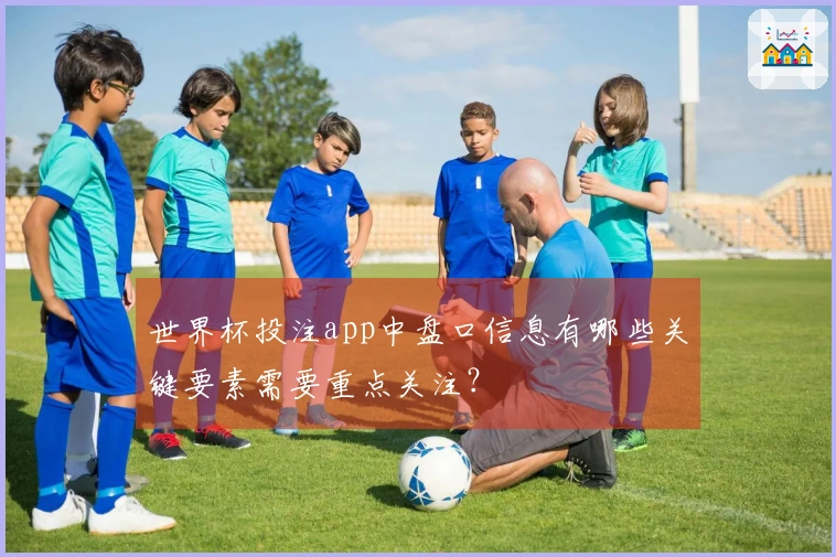 世界杯投注app中盘口信息有哪些关键要素需要重点关注？